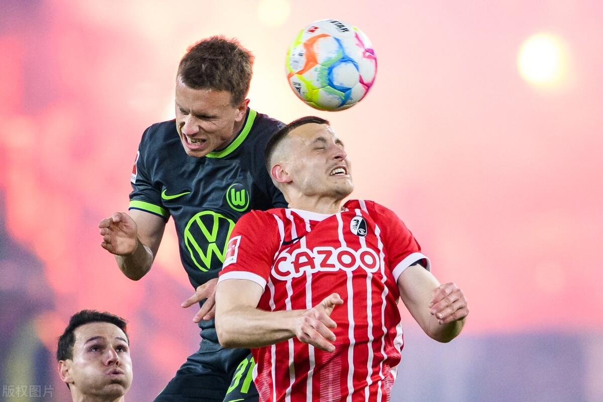 你家猫主子眼里的世界真是黑白的吗？