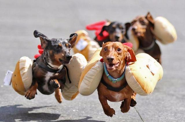 奔驰GLK论坛真的能帮你省下10万修车费吗？