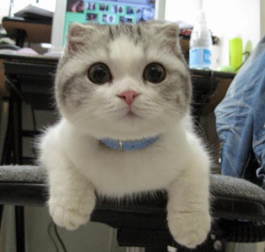 森雅报价里到底藏着多少猫腻?新手必看的避坑指南 森雅报价里到底藏着多少猫腻?新手必看的避坑指南