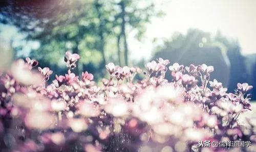 你的名字在算命系统里能得59分还是90分？