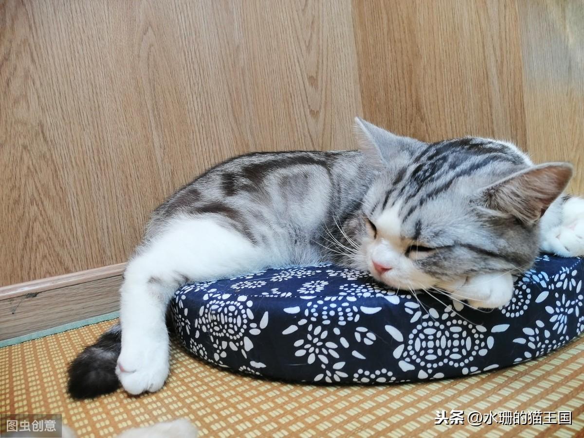 第一次进禅音华人论坛,怎么操作才不会像个傻子? 第一次进禅音华人论坛,怎么操作才不会像个傻子?