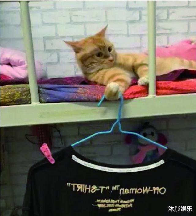 断缴养老保险会怎样？这6个雷区千万别踩！