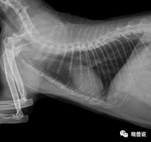 日产GTR改装指南：如何从街道战神升级为赛道猛兽，性能提升与外观优化的平衡之道