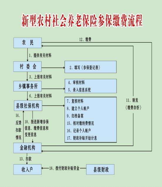 农村户口一次性补缴社保流程是什么?手把手教你办! 农村户口一次性补缴社保流程是什么?手把手教你办!