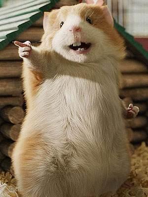 主子半年不洗澡居然还香喷喷? 主子半年不洗澡居然还香喷喷?