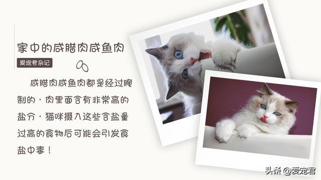 凯里森到底怎么玩才能不坑队友？