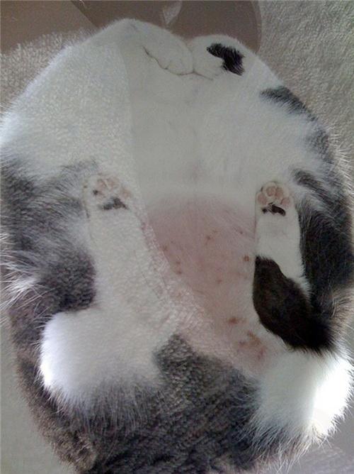 如何快速获取H530真实报价？这份避坑指南省2万