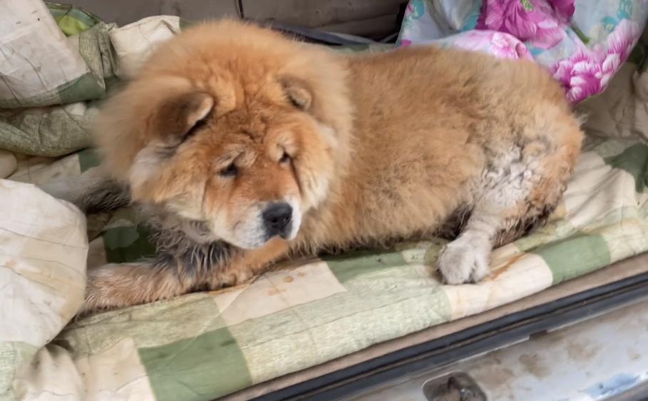 北京二手切诺基值得入手吗？新手必看的避坑指南