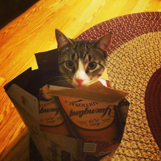 Pluriel Francis Kurkdjian: Pengalaman Olfaktori dengan Aroma dan Kualitas Tinggi