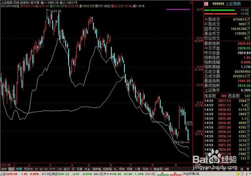 新手如何开股票账户步骤_股票账户资金密码忘记怎么办