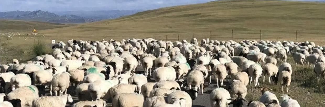 丫丫的港湾注册总失败？手把手教你三分钟搞定