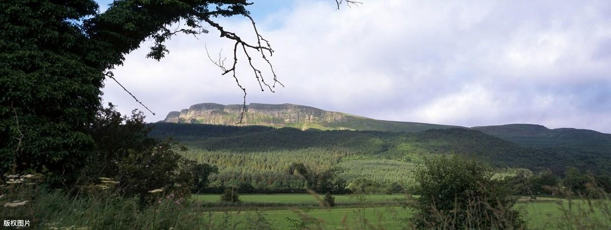 梦见男朋友什么比较好?解析7种预兆与情感修复指南 梦见男朋友什么比较好?解析7种预兆与情感修复指南