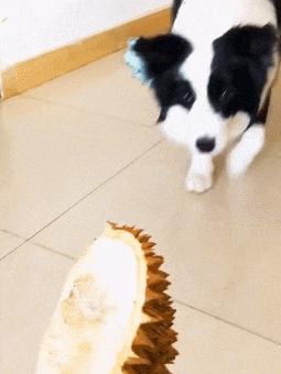 为什么别人玩意翔总比你强?新手必看5大误区 为什么别人玩意翔总比你强?新手必看5大误区