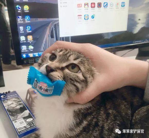 刚注册北冥华人论坛？这8个问题你肯定想不通