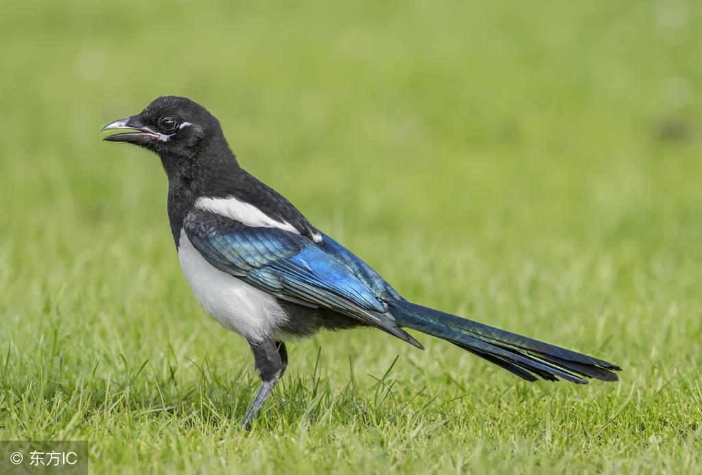 浙商联办app被骗充值无法提现怎么办-平台充值无法提现如何追回