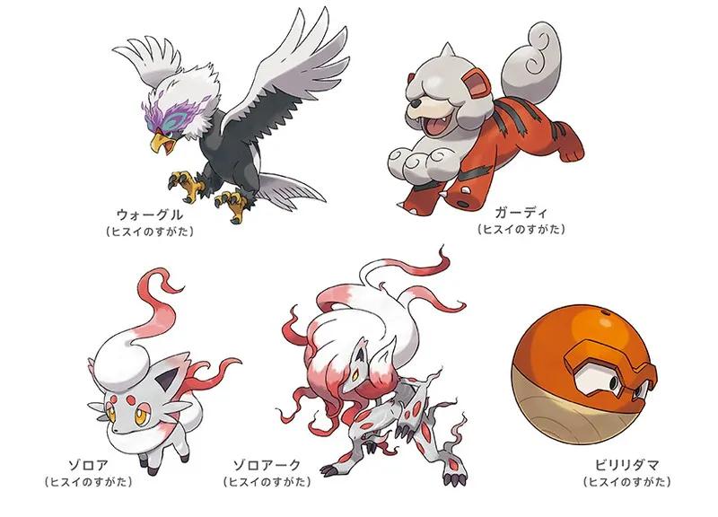 在阿尔及利亚生活找不到组织怎么办？