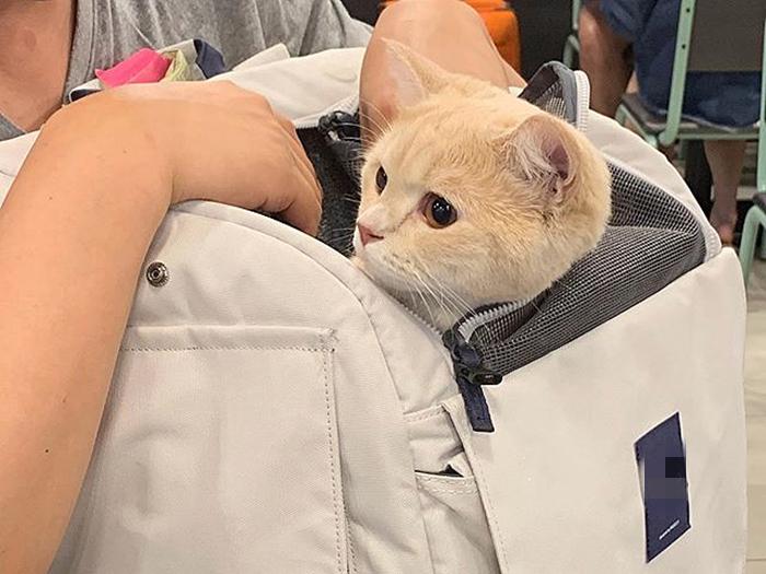 二手菱帅值不值得买？万元预算避坑指南为你省3万