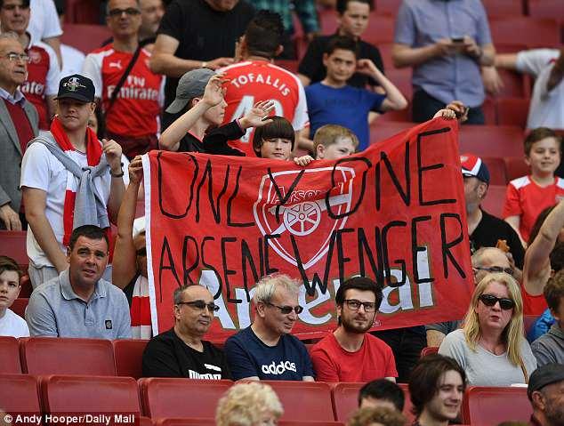 阳台种杉树三个月就死？新手到底踩了多少坑？