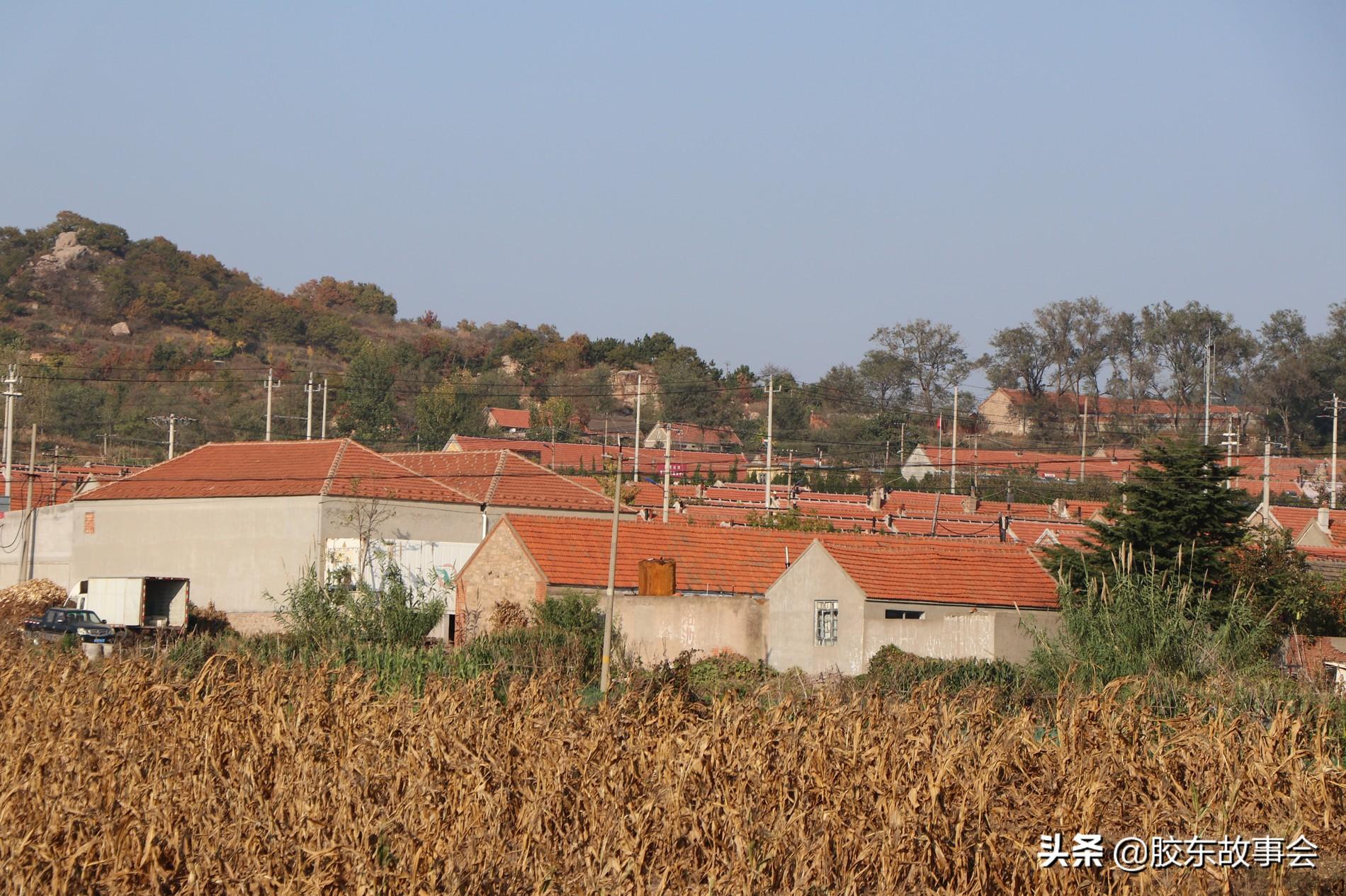 王姓取名怎么才能不重名？