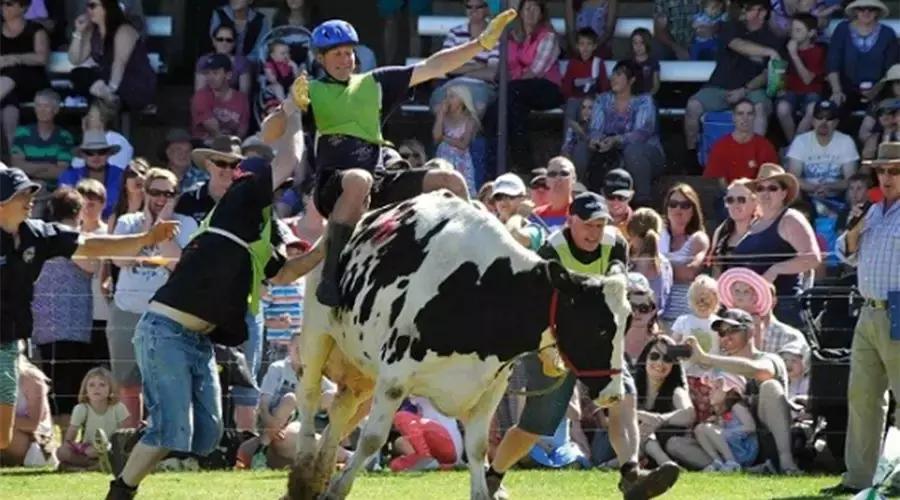 你家猫拉稀的照片能看出大问题吗？