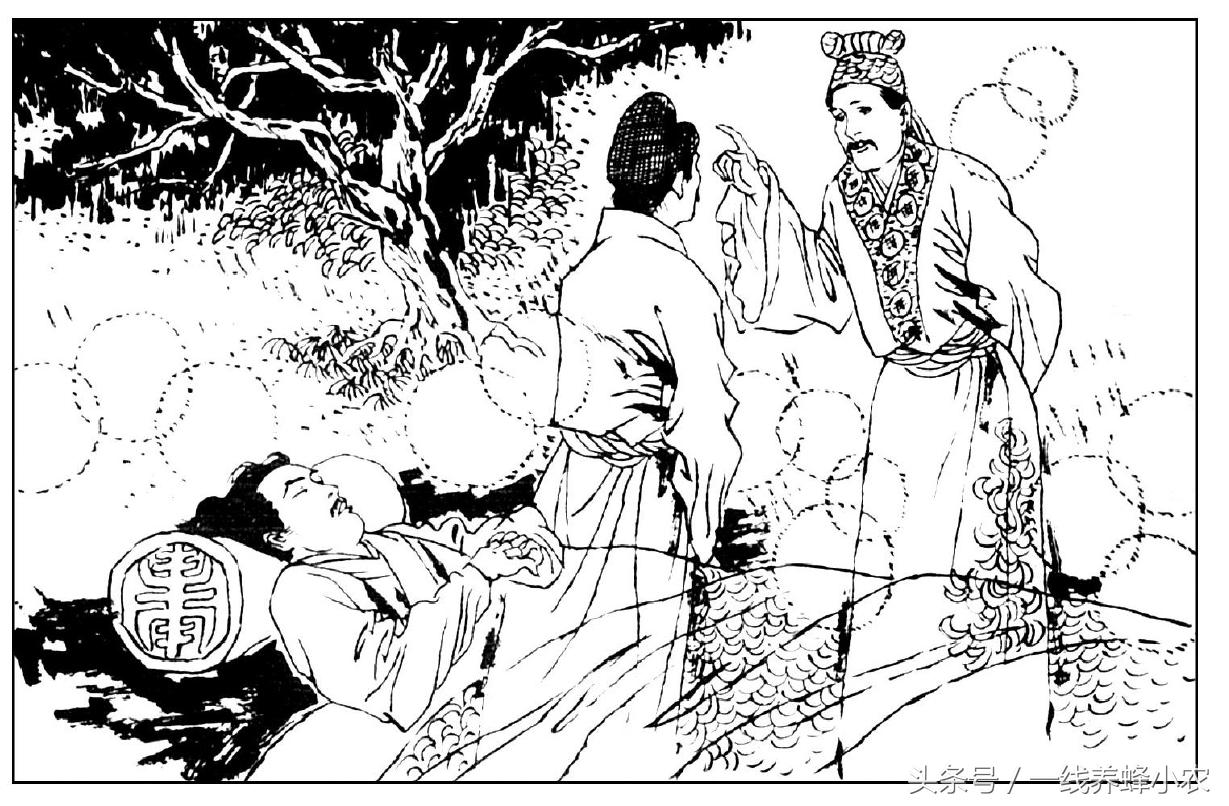 梦见婆家侄子结婚预示什么?2025年星座运势与转运指南 梦见婆家侄子结婚预示什么?2025年星座运势与转运指南