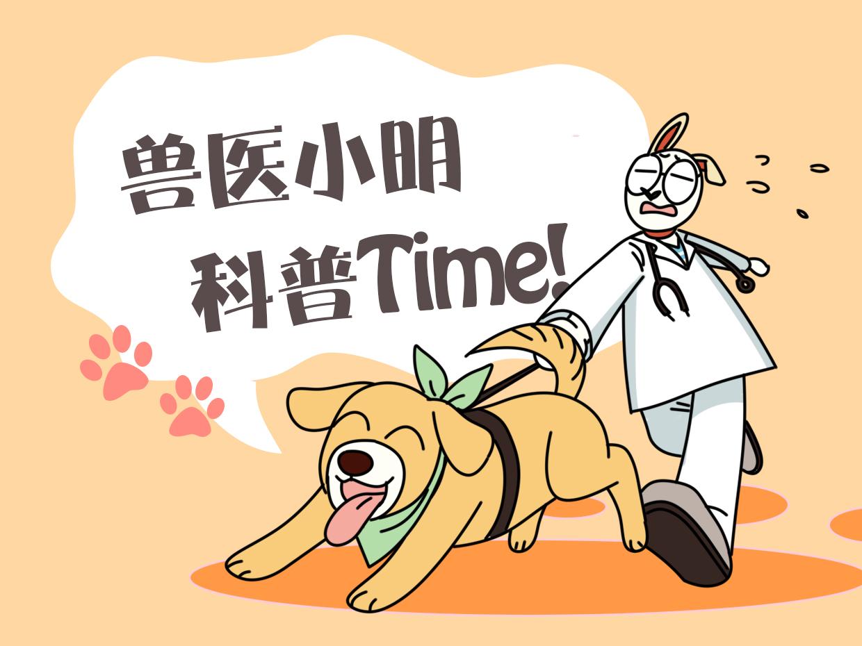 猫咪突然张嘴喘气是在求救吗？