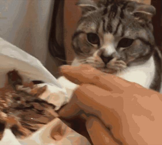 神煞算命真的能预知未来吗？