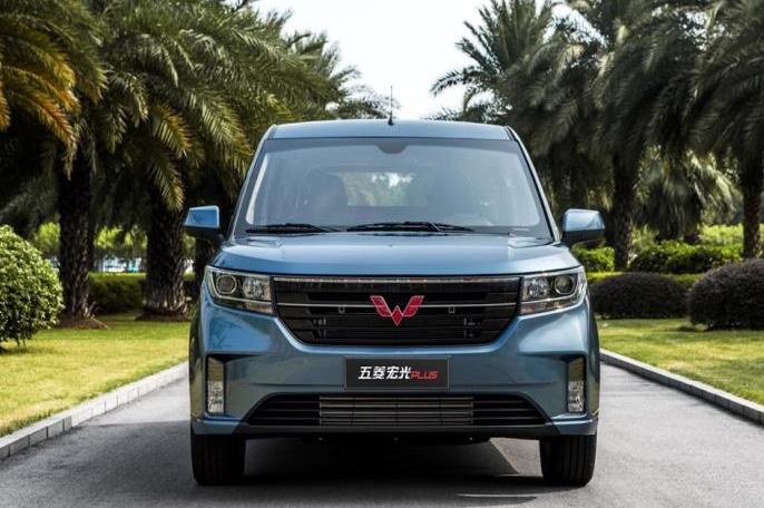 为什么你家新猫总在沙发尿尿？