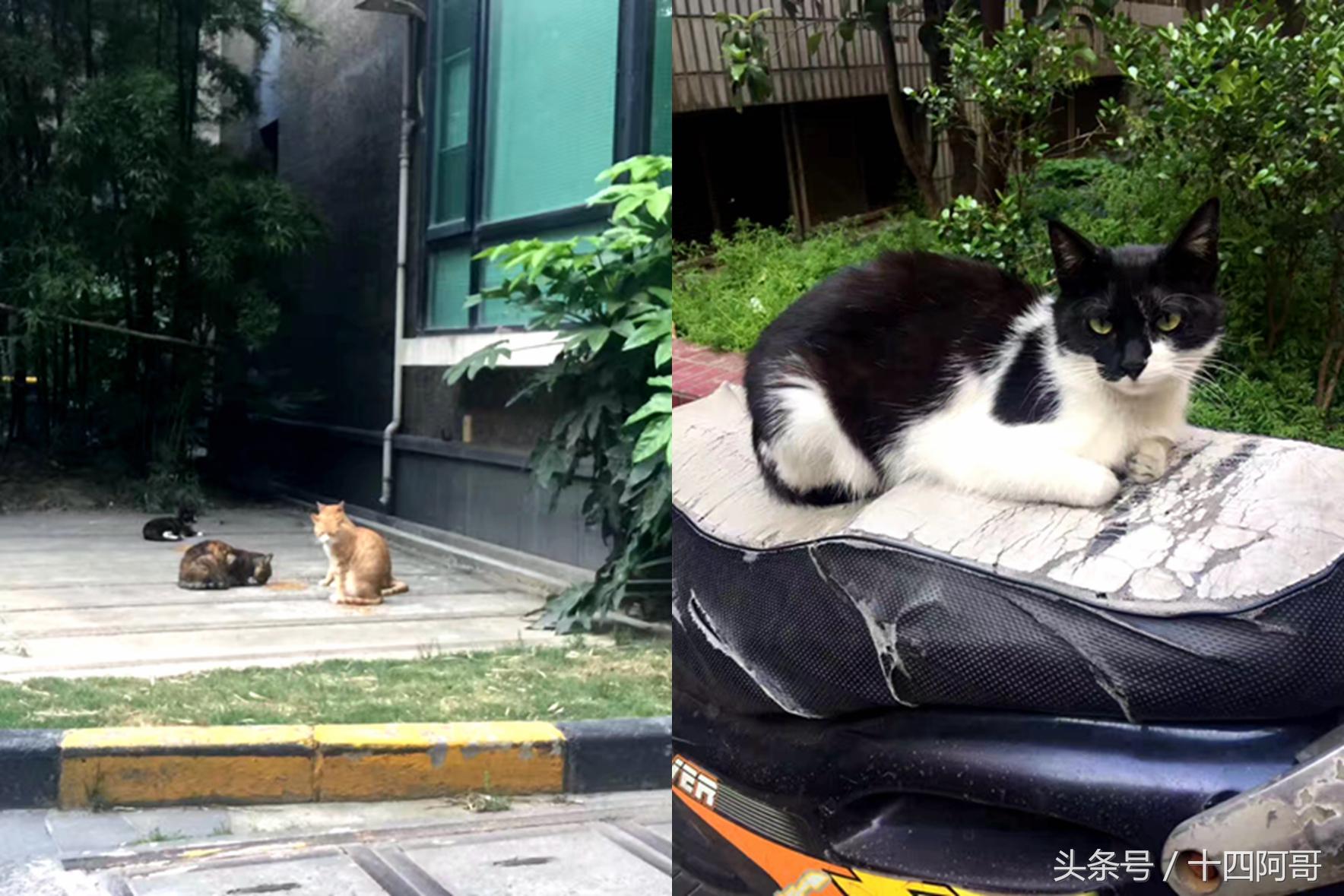 免费日产乱码卡一卡2卡三卡四到底藏着什么猫腻？