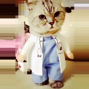 猴年游戏到底该怎么玩?菜鸟必看生存指南 猴年游戏到底该怎么玩?菜鸟必看生存指南