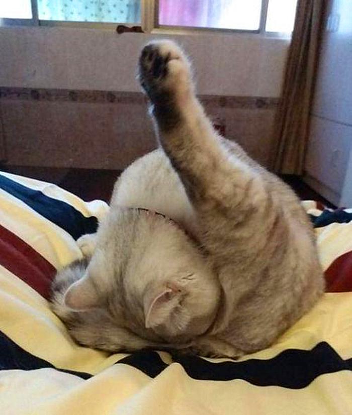 梦见男人的命根预示什么?周公解梦揭秘财富与健康双重转折! 梦见男人的命根预示什么?周公解梦揭秘财富与健康双重转折!