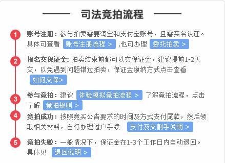 淘宝法拍网拍卖平台怎么用？新手想捡漏要注意啥？