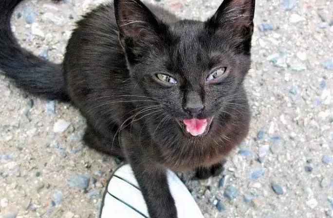 淼 这个字到底该怎么用才不翻车? 淼 这个字到底该怎么用才不翻车?