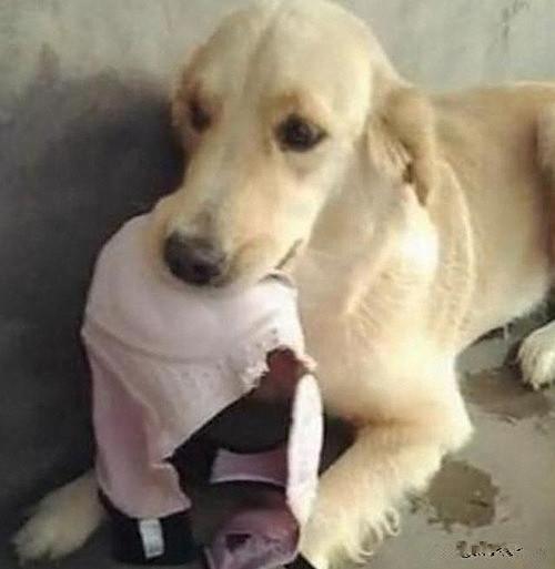 在印尼生活的华人，真的只能靠微信群交流吗？