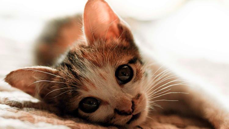 八字五行排盘分析方法-老黄历免费生辰八字算命最准