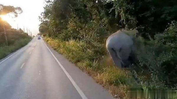 在泰国做生意找不到靠谱合作伙伴？华人论坛真的能帮你吗？