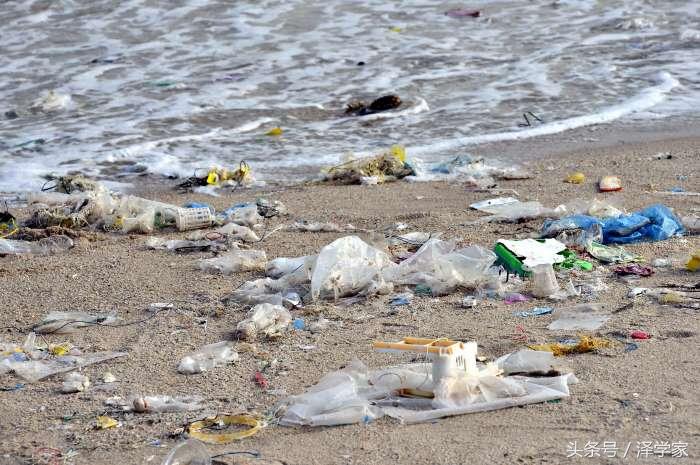 刚来芝加哥怎么找到组织?华人论坛官网能帮到你吗? 刚来芝加哥怎么找到组织?华人论坛官网能帮到你吗?