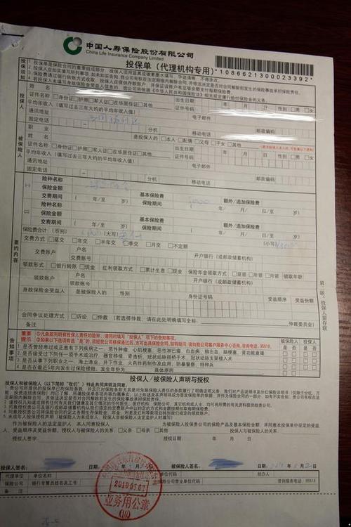 个人人寿保险保单怎么查询？详细教程奉上，小白也能轻松操作