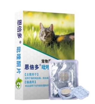 新手铲屎官必看！猫咪驱虫到底该买哪种药？