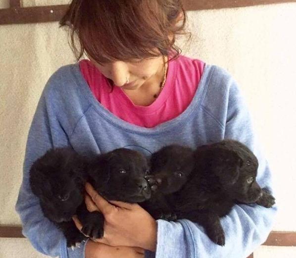 你家猫主子为啥总跟塑料袋过不去? 你家猫主子为啥总跟塑料袋过不去?