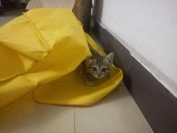 买第一辆车最怕被坑?雪佛兰报价到底藏着什么秘密? 买第一辆车最怕被坑?雪佛兰报价到底藏着什么秘密?