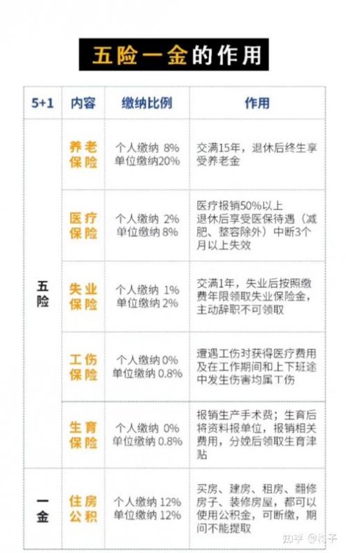 五险包括什么先看这个！作用、缴费、断交全说明