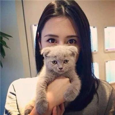 伊兰特2012款真的适合新手小白吗？