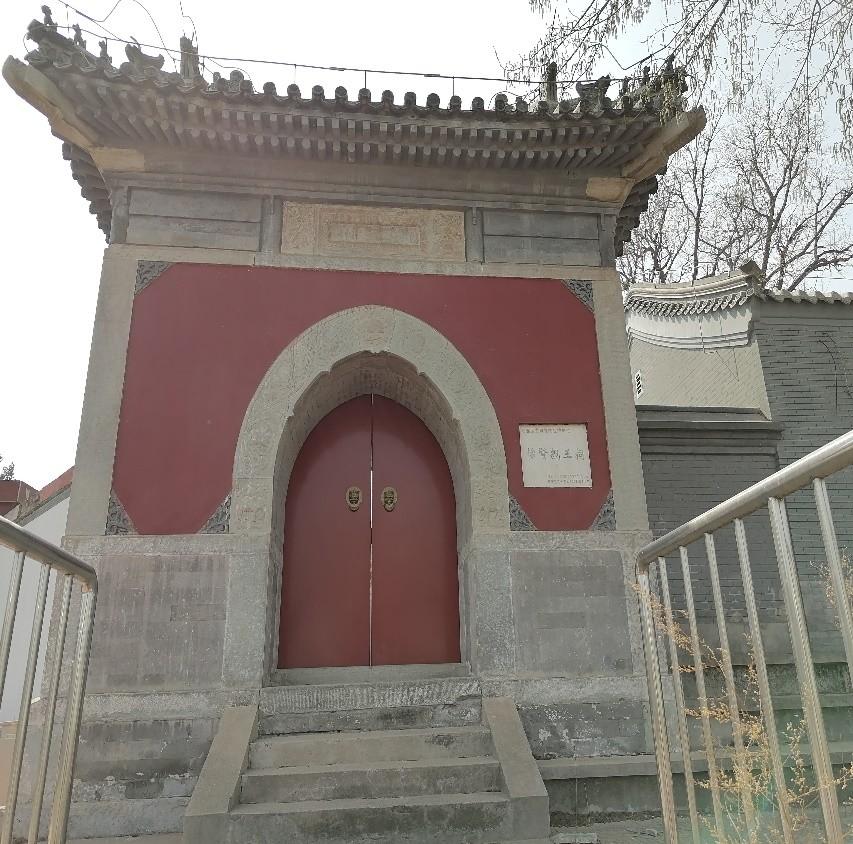 猫咪三天没拉屎会憋死吗？