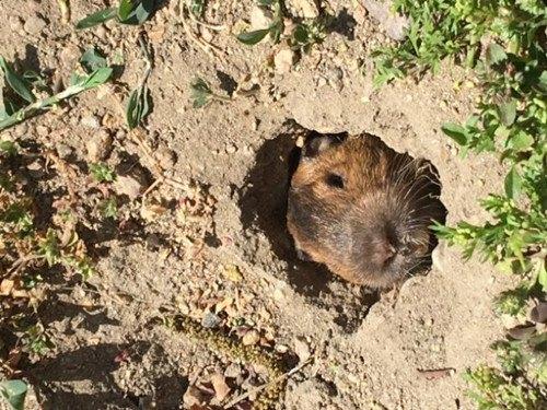 TFTKOPApp无法提现怎么办-网上做单平台被骗充值提现不了如何追回 