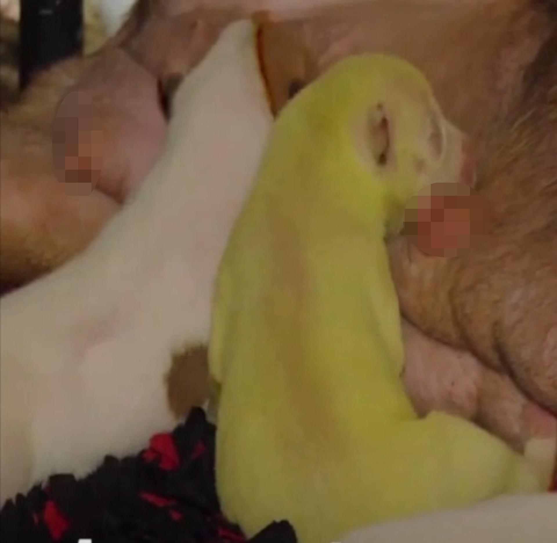 给猫主子起名比找对象还难？