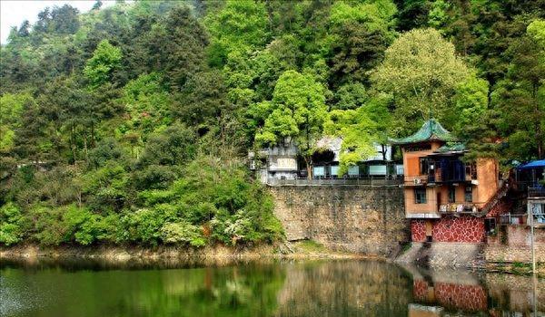 11月12日到底藏着什么秘密？