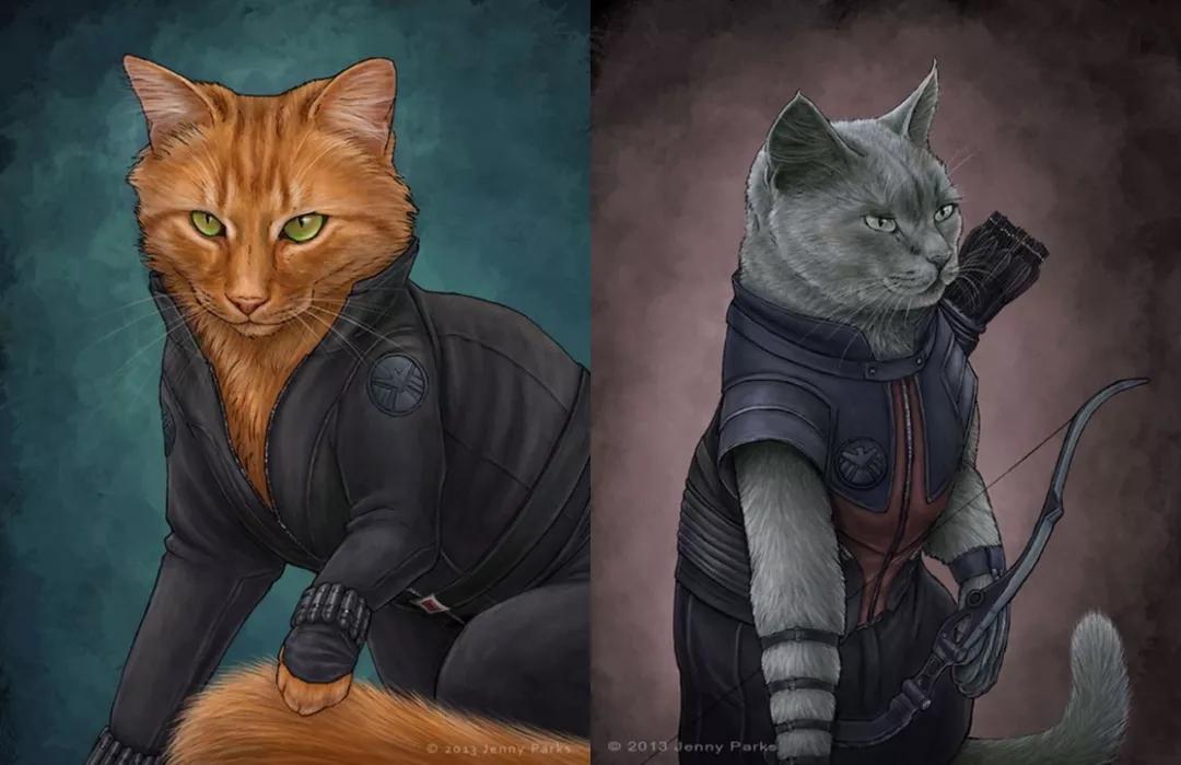 新手如何在家免费看猫咪电影? 新手如何在家免费看猫咪电影?