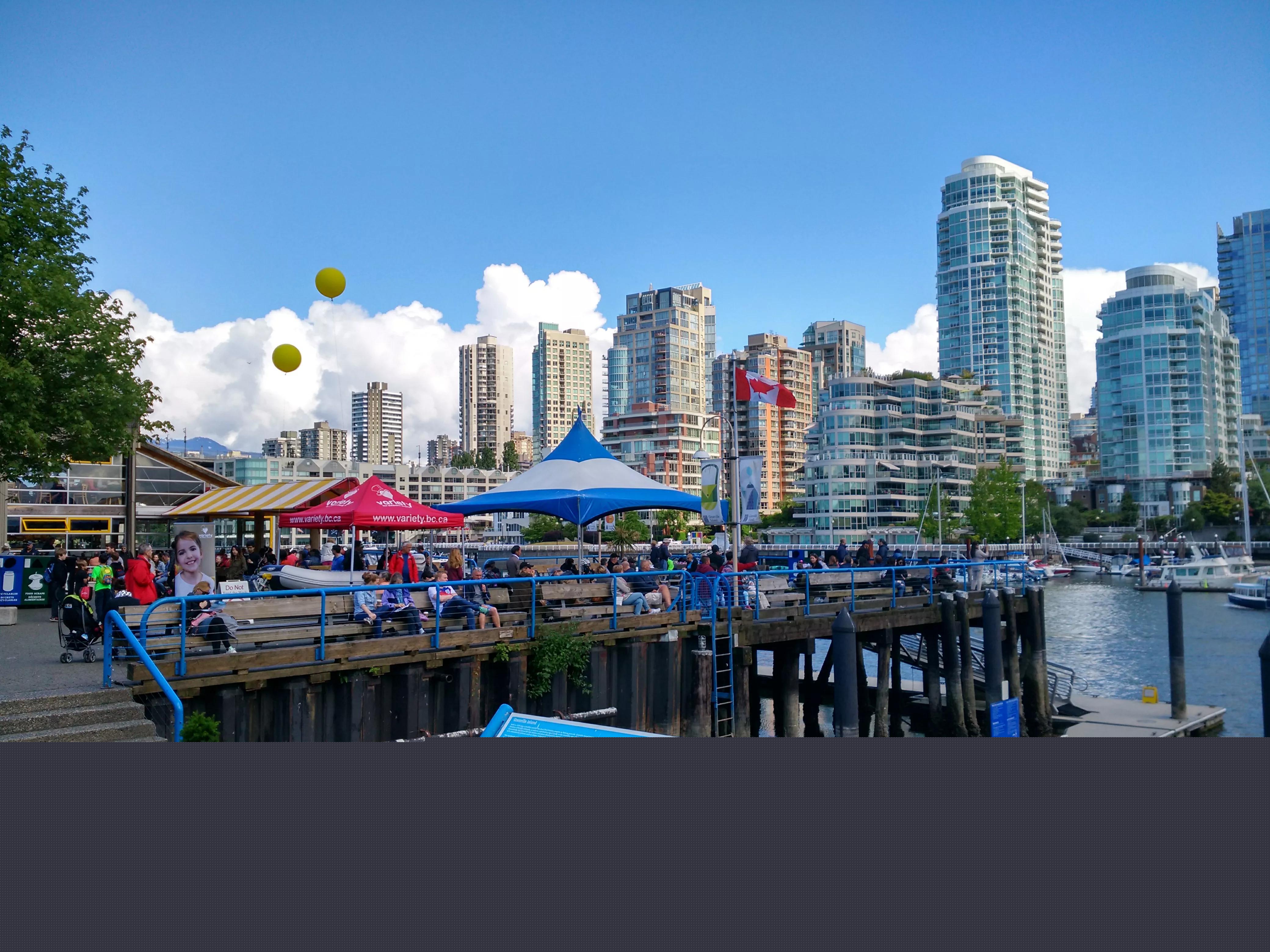 你家猫咪也能成为舞林高手吗? 你家猫咪也能成为舞林高手吗?