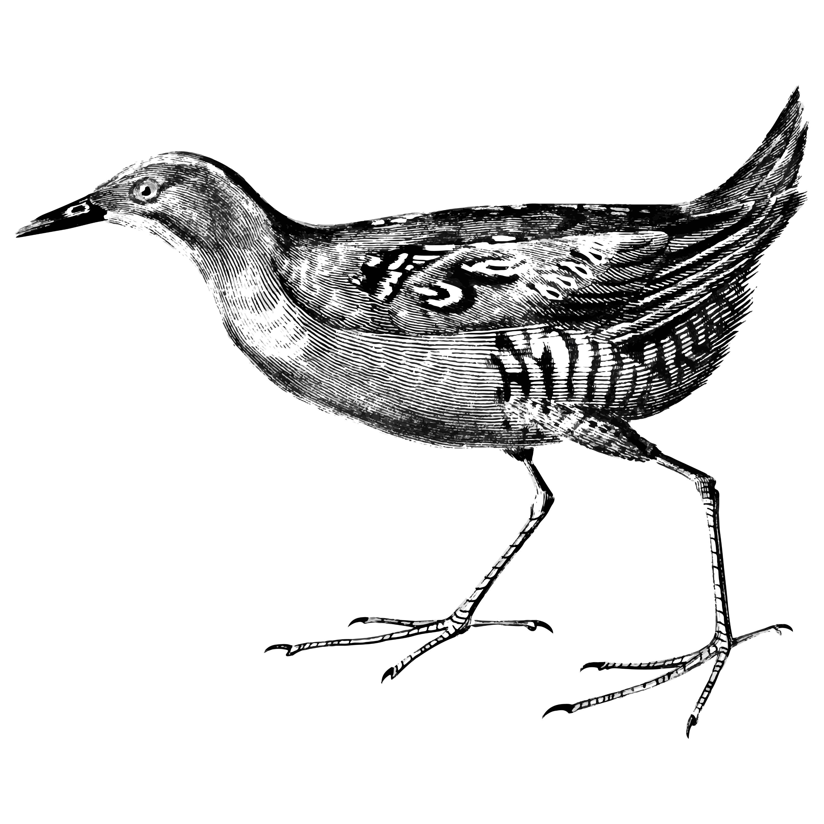 梦中梦到底有多可怕